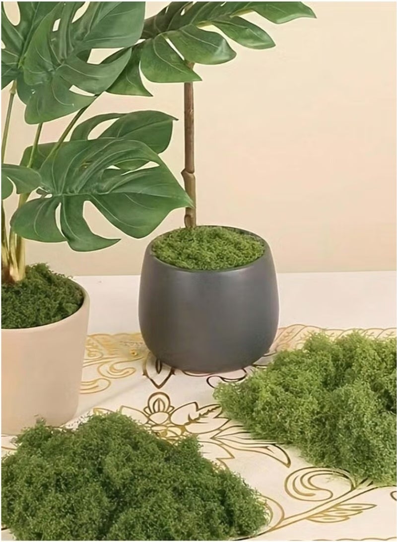 Ayshal 200g Moss Grass Perfectly Simulates Artificial Moss Fake Green Grass for Centerpieces Home Kitchen Garden Decor Preserved Forest Moss - Image 2